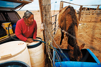 Eleanor Peshlakai waters her horse at her home in Black Falls, Ariz. Peshlakai and her mother Katharine, were one of the last four families to be forced from Wupatki National Monument to the Black Falls area. — © 2009 Gallup Independent / Brian Leddy 