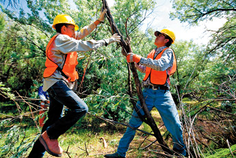Clayton Canuho, left, and Tulley Lincoln move a Russian olive branch in Ganado wash on Thursday. The chapter is working on removing invasive species, including salt cedar, which have overtaken native plants. — © 2009 Gallup Independent / Brian Leddy