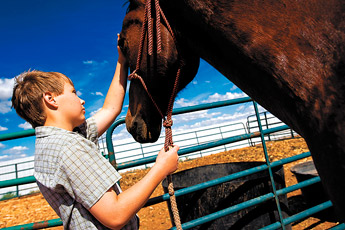 Kyle Nanco pets a horse called "Boy" on his family's property near Grants on Wednesday. Nanco and his siblings are preparing several animals for competition in this year's Bi-County Fair. — © 2009 Gallup Independent / Cable Hoover 