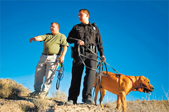 Laguna Police Officer Tony Romero and Laguna Detention Center Administrator Billy Emmanuel work with tracking dog Jimmy during a training exercise on Monday in Laguna. Jimmy, Zeus (another tracking dog) and their handlers are back from training in Indiana, where they learned the finer points of tracking. — © 2009 Gallup Independent / Brian Leddy