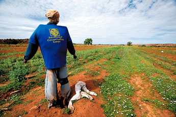 A scarecrow stands guard over the spacious fields of the Hubbel Trading Post in Ganado on Wednesday. &mdash;&nbsp;&copy; 2009 Gallup Independent / Adron Gardner 