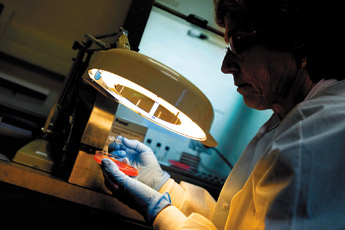 Medical Technologist Marie Connell works in the mircrobiology lab at Cibola General Hospital on Thursday, August 6th. The hospital is celebrating its 50th anniversary this year. &mdash;&nbsp;&copy; 2009 Gallup Independent / Brian Leddy 