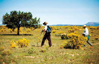Ranger Paul Yoder takes the first steps of the day hike with a group of more than a dozen fellow hikers on Saturday. &mdash;&nbsp;&copy; 2009 Gallup Independent / Adron Gardner 
